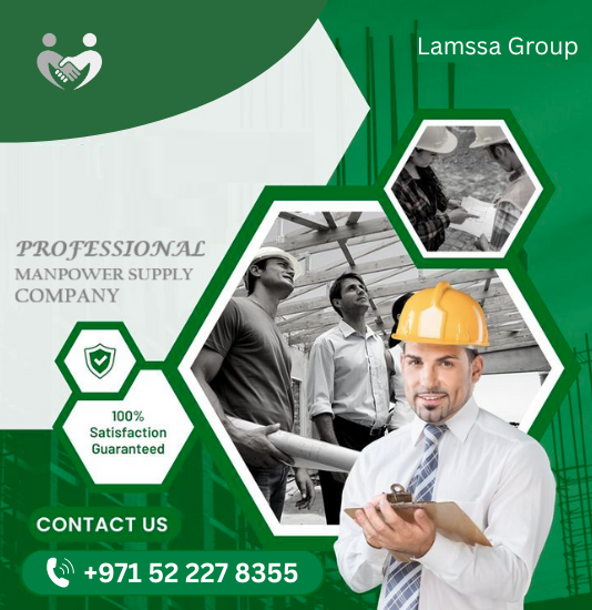 lamssa group of companies